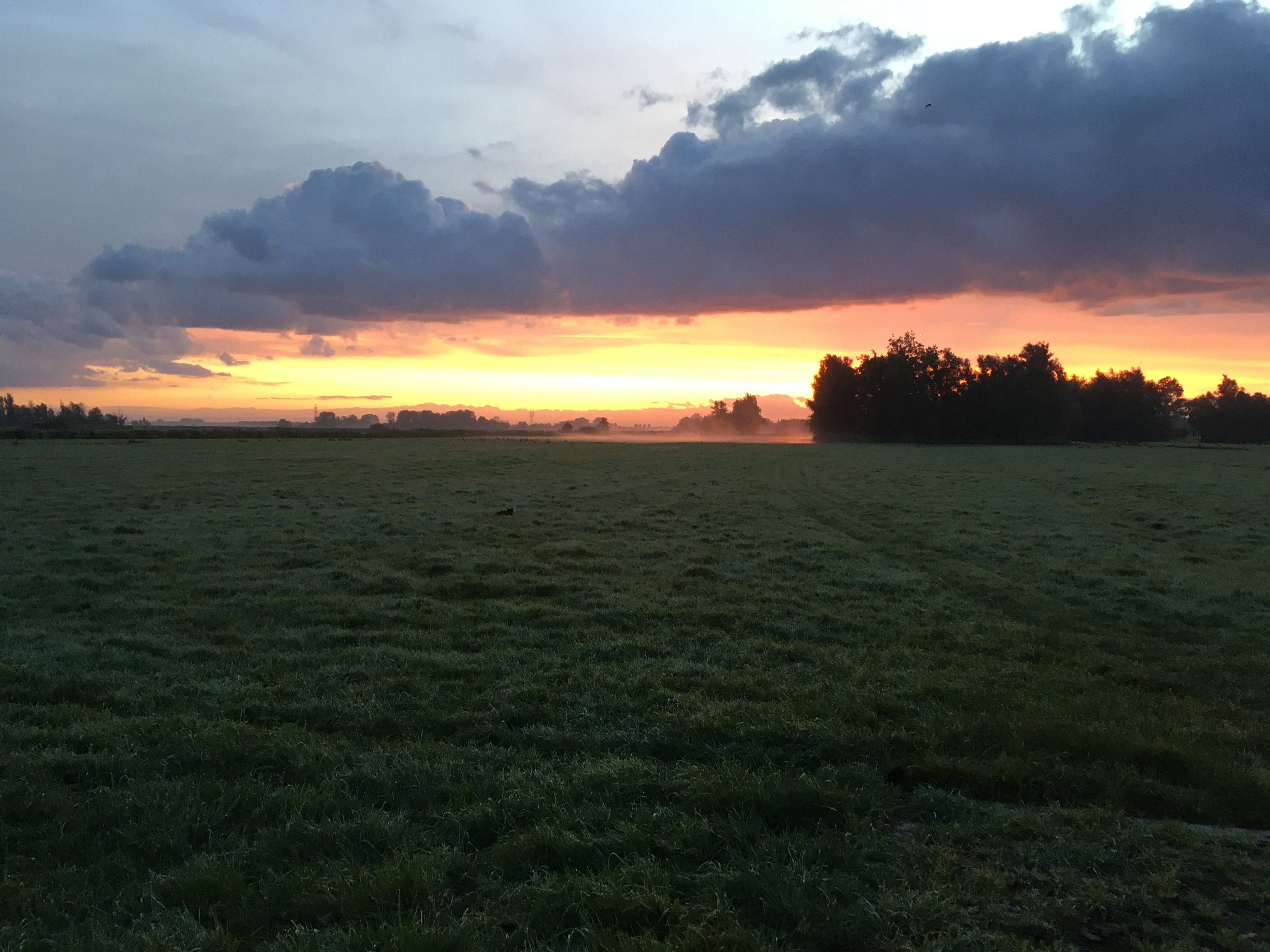 /userfiles/images/anecdotes/66e1f77da5190_IMG_3172 2.jpeg